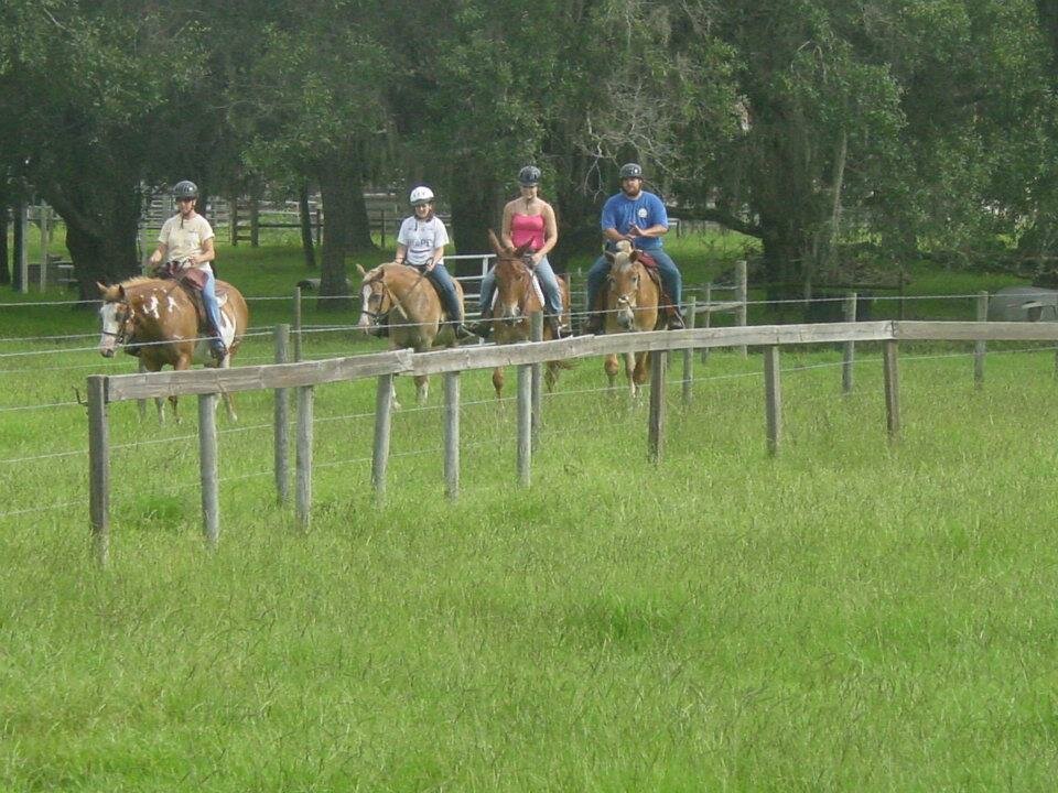 //prospectridingcenter.com/wp-content/uploads/2018/04/horses4.4.jpg